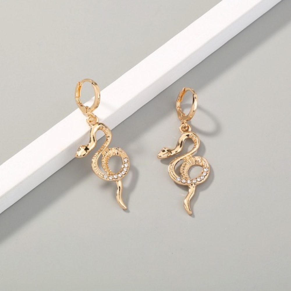 Snake Serpent drop Earrings, Snake hoop earrings,